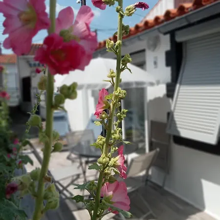 Maisonnette De Vacances 펜션 *